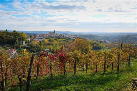 Brda wijnstreek in Slovenië bezoeken: alle info en tips